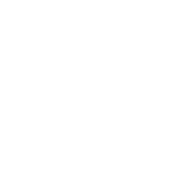 Selección oficial — NewFilmmakers New York