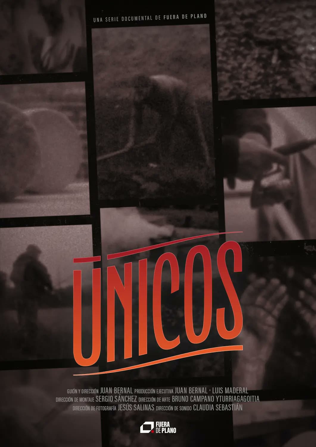 Cartel de Únicos: mosaico de fotogramas en blanco y negro de la serie documental